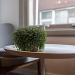 Haus Galata Апарт-отель 3*